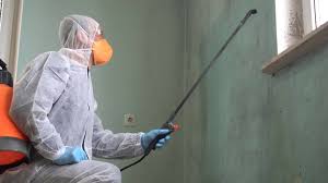 Best Mold Damage Restoration  in Woburn, MA